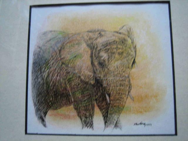 elephantdrawing.jpg